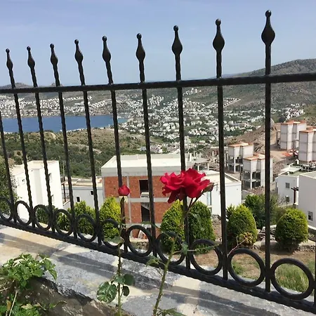 Βίλα Thea Gundogan (Bodrum)